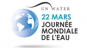journée mondiale de l'eau