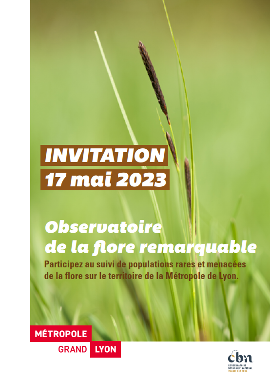 Journée de l’observatoire de la flore remarquable de la Métropole de Lyon, le 17 mai 2023, aux îles et lônes du Rhône