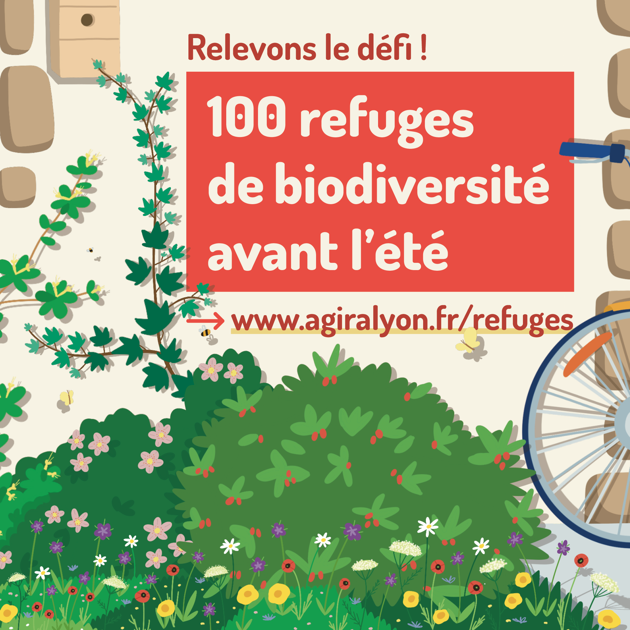 Anciela | Défi « 100 refuges de biodiversité »
